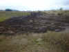 off_road1.jpg (103388 bytes)
