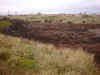 off_road2.jpg (103371 bytes)